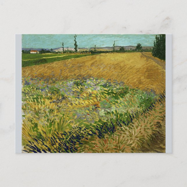 Carte Postale Wheatfield par Vincent Van Gogh (Devant)