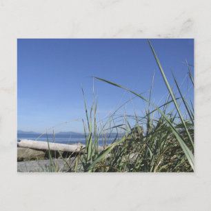 Carte Postale Whidbey Island 5