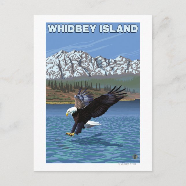 Carte Postale Whidbey Island, Washington Eagle Fishing (Devant)