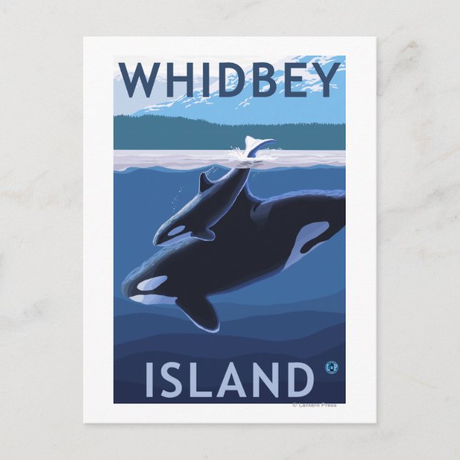Carte Postale Whidbey Island, Washington Orca et Calf (Devant)
