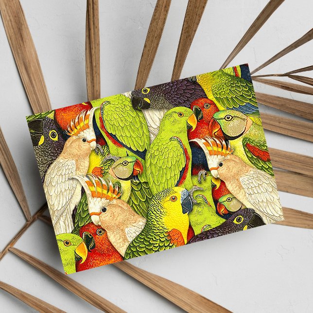 Carte Postale Whimsical Nature Green Parrots Oiseaux Motif (Whimsical Nature Green Parrots Birds Pattern)