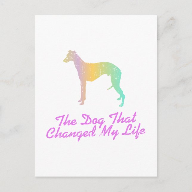 Carte Postale Whippet (Devant)