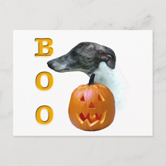 Carte Postale Whippet Boo (Devant)