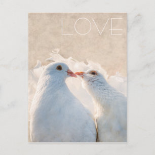 Carte Postale White Kissing Doves - Love personnalisable