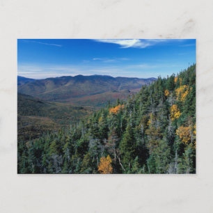 Carte Postale White Mountain N.F., NH. La vue de près
