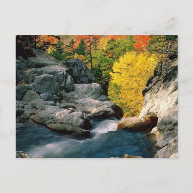 Carte Postale White Mountain National Forest, NH (Devant)