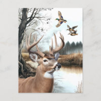 White Tail Deer et Mallards scène nature