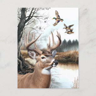 Carte Postale White Tail Deer et Mallards scène nature