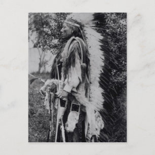 Carte Postale White Wolf, un chef Comanche, c.1891-98