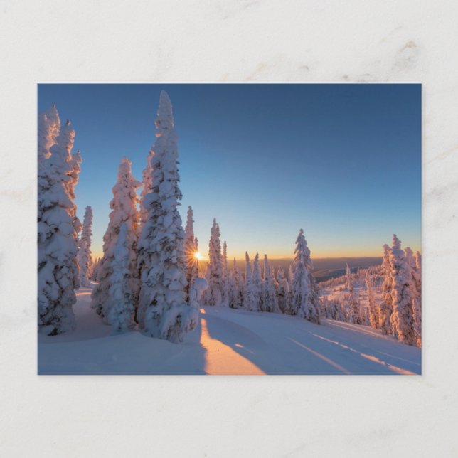 Carte Postale Whitefish, Montana (Devant)