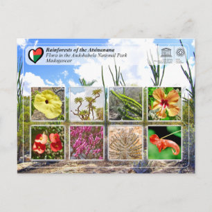 Carte Postale WHS UNESCO - Atsinanana - Parc national d'Andohahe