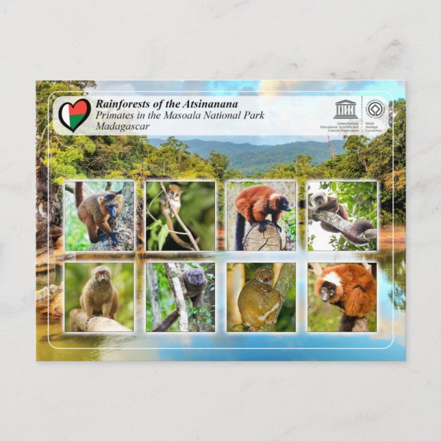Carte Postale WHS UNESCO - Atsinanana - Parc National Masoala (Devant)
