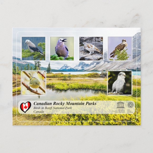 Carte Postale WHS UNESCO - Parc national Banff (Devant)
