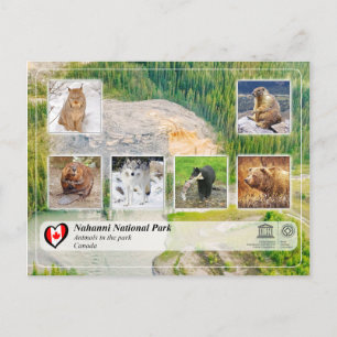 Carte Postale WHS UNESCO - Parc national de Nahanni