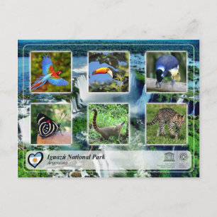 Carte Postale WHS UNESCO - Parc national d'Iguazu