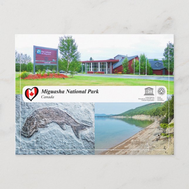 Carte Postale WHS UNESCO - Parc national Miguasha (Devant)