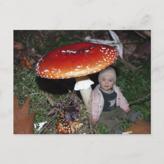 Carte Postale Wichtel - Zwerg unter dem Fliegenpilz