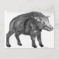 Wild Boar, position défensive