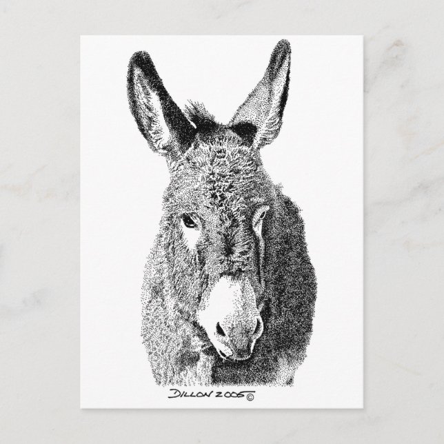 Carte Postale Wild Burro (Devant)