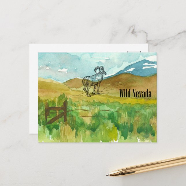 Carte Postale Wild Nevada Bighorn Sheep Desert Landscape (Devant/Arrière en situation)