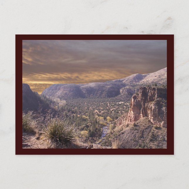 Carte postale Wilderness (Devant)