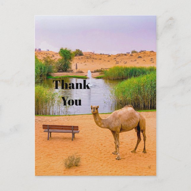 Carte Postale Wildlife Camel Oasis Merci photo (Devant)