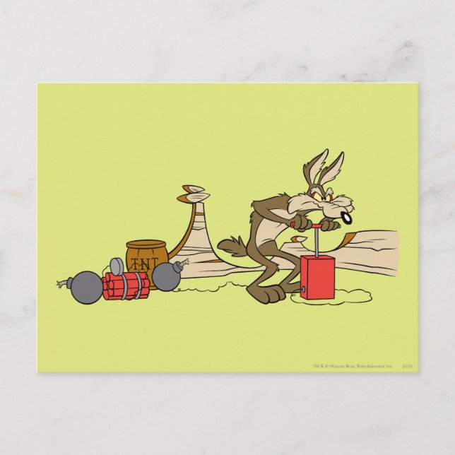 CARTE POSTALE WILE E. COYOTE™ ACME TNT (Devant)