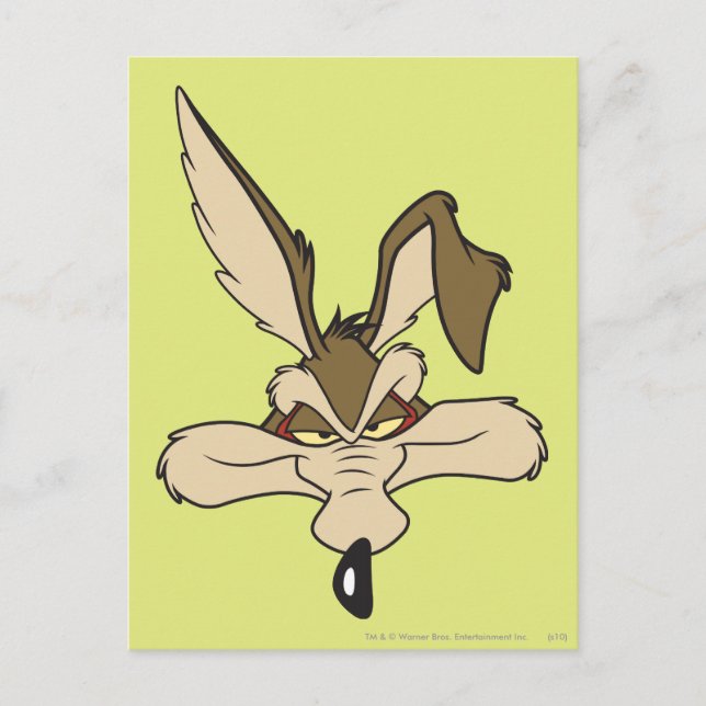 Carte Postale WILE E. COYOTE™ Blessé à la tête (Devant)