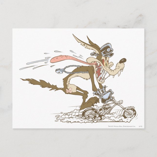 Carte Postale WILE E. COYOTE™ Cycle Racer (Devant)