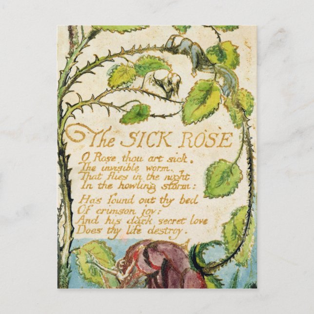 Carte Postale William Blake | Le Rose malade, des chansons d'Inn (Devant)