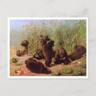 Carte Postale William H. Barbe, Ours dans le Patch de la pastèqu