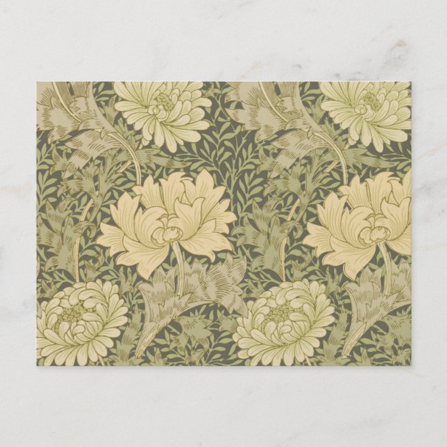 Carte Postale William Morris Chrysanthemum Fleur d'âge (Devant)