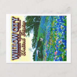 CARTE POSTALE WILLOW CITY TEXAS - WILLOW CITY LOOP - BLUEBONNET