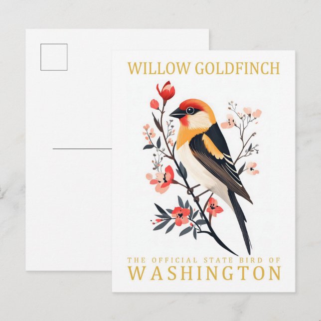 Carte Postale Willow Goldfinch Bird de Washington Travel (Devant / Derrière)