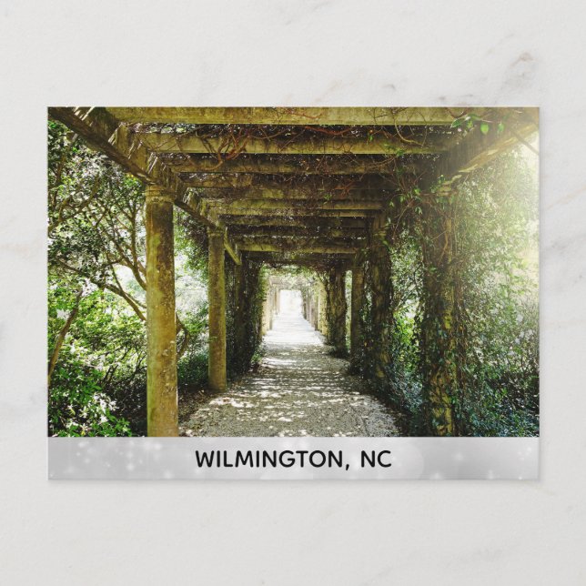 Carte Postale Wilmington North Carolina Airlie Gardens Travel (Devant)