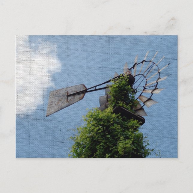 Carte Postale Windmill Exclusive (Devant)