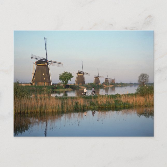 Carte Postale Windmills, Kinderdijk, Pays-Bas (Devant)