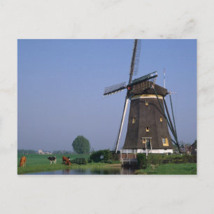 Carte Postale Windmills, Leidschendam, Pays-Bas