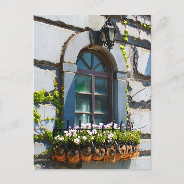 CARTE POSTALE WINDOWS DOORS FLOWERS BUILDING POSTCROSSING (Devant)