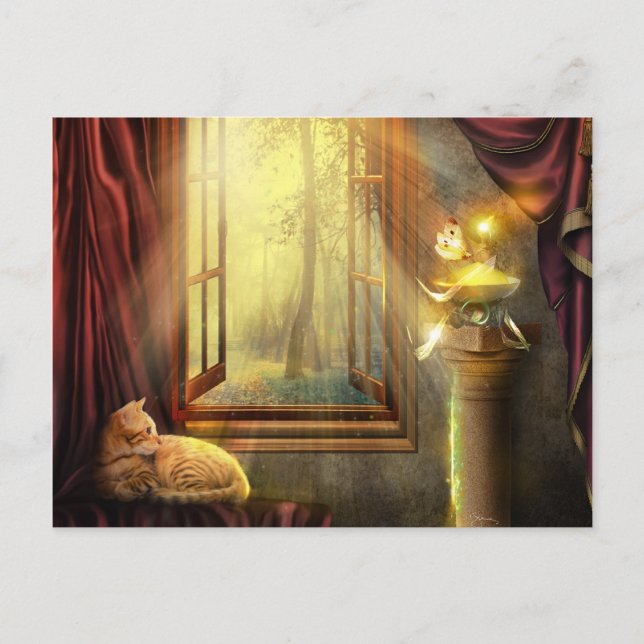 Carte postale Windows Shopping (Devant)