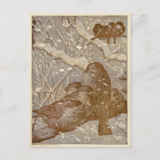 Carte Postale Winter Birds