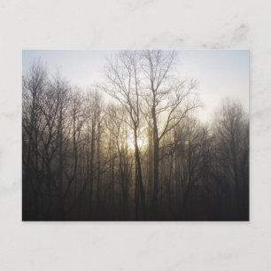 Carte Postale Winter Fog Sunrise Nature Photographie