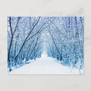 Carte Postale Winter Forest Path