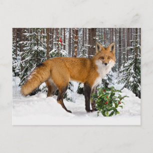 Carte postale "Winter Fox"