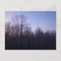 Winter Moon Matin Paysage Photographie