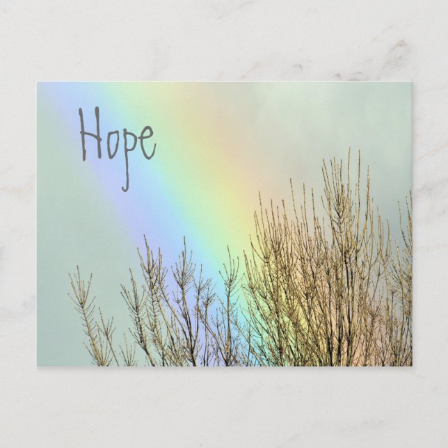 Carte Postale Winter Rainbow Hope (Devant)