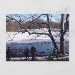 Carte Postale Winter Snow Central Park Lake New York City NYC