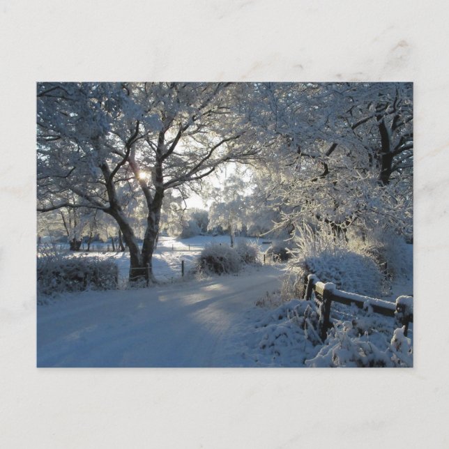 Carte Postale Winter Snowfall (Devant)