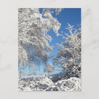 Carte Postale Winter Snowfall 