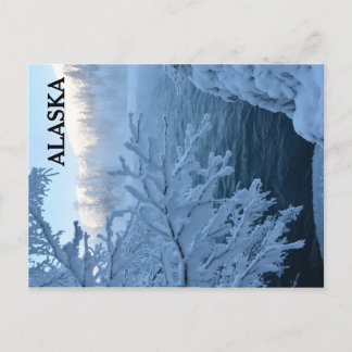 Carte Postale Winter Wonderland